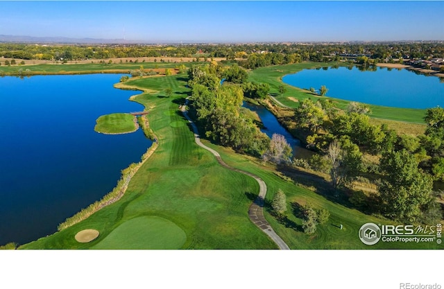 2147 Picture Pointe Dr, Windsor, CO 80550 - photo 39