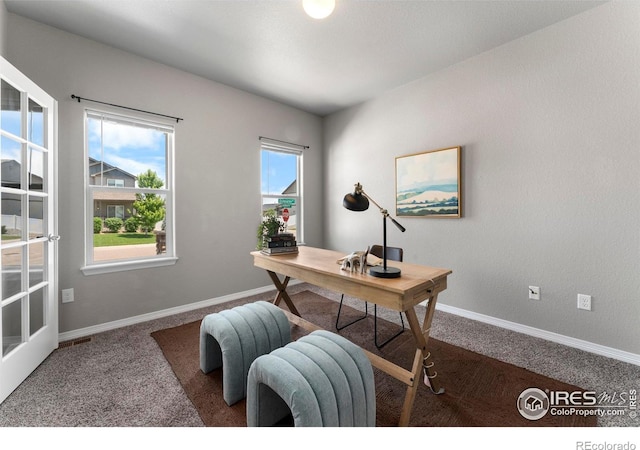 5612 Osbourne Dr, Windsor, CO 80550 - carpeted office featuring baseboards