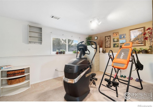 3920 Windom St, Fort Collins, CO 80526 - workout area with carpet flooring