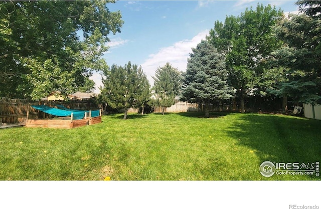 3920 Windom St, Fort Collins, CO 80526 - fenced backyard featuring a garden