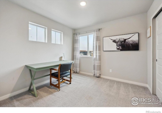 362 Bozeman Trl, Ault, CO 80610 - home office with light colored carpet