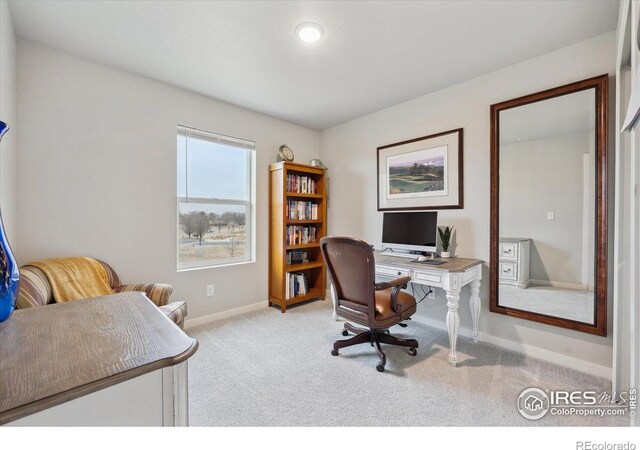 362 Bozeman Trl, Ault, CO 80610 - carpeted office space featuring baseboards
