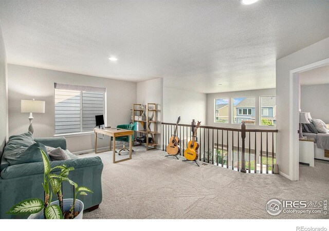 4360 Buffalo Mountain Dr, Loveland, CO 80538 - photo 13