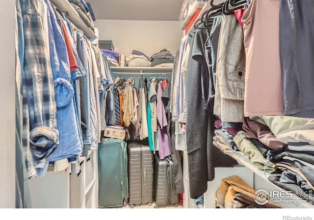 1149 Quince Ave, Boulder, CO 80304 - view of walk in closet