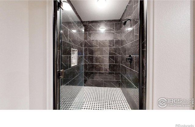1403 Crestridge Dr, Loveland, CO 80537 - bathroom featuring a shower stall