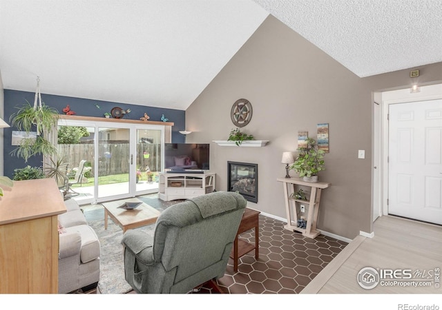 2707 W Stuart St, Fort Collins, CO 80526 - living room with vaulted ceiling and a glass covered fireplace