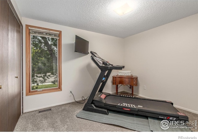 2707 W Stuart St, Fort Collins, CO 80526 - workout area featuring carpet and a textured ceiling