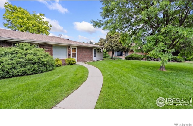 416 E Thunderbird Dr, Fort Collins, CO 80525 - view of grassy yard