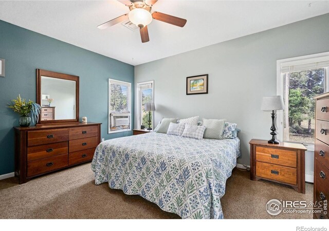 5030 W 14th St, Greeley, CO 80634 - photo 19