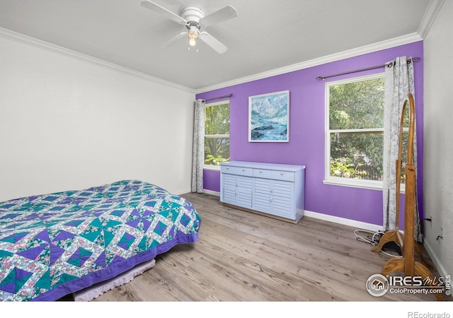 1507 51st Ave, Greeley, CO 80634 - photo 13