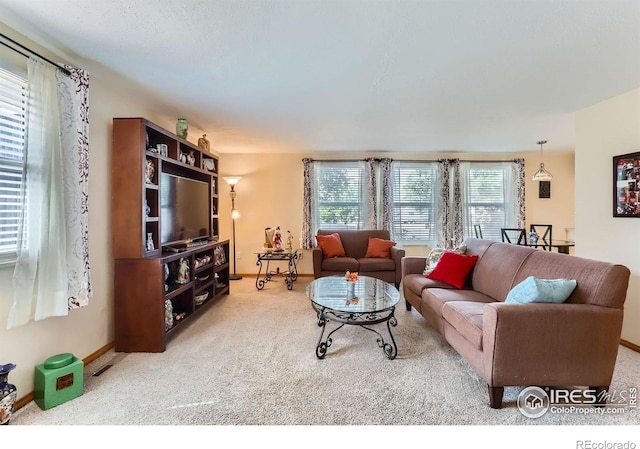 1240 Snowbank Ct, Longmont, CO 80504 - photo 8
