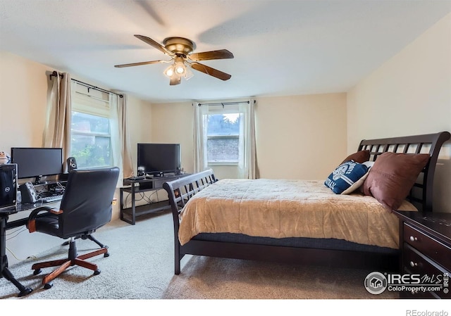 1240 Snowbank Ct, Longmont, CO 80504 - photo 16