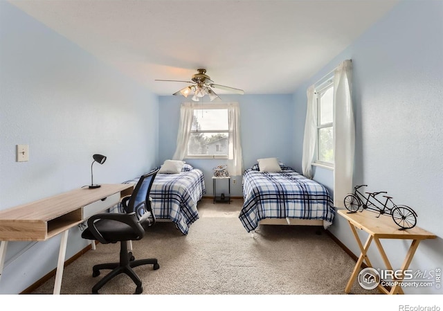 1240 Snowbank Ct, Longmont, CO 80504 - photo 19
