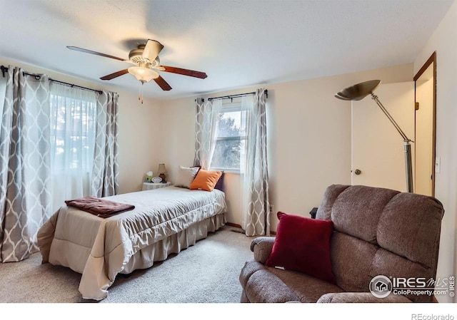 1240 Snowbank Ct, Longmont, CO 80504 - photo 20