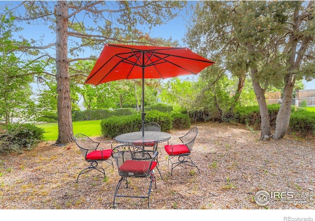 1240 Snowbank Ct, Longmont, CO 80504 - photo 26