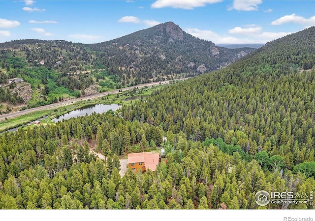 100 Moon Gulch Rd, Rollinsville, CO 80474 - photo 33