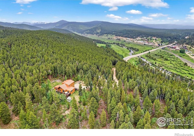 100 Moon Gulch Rd, Rollinsville, CO 80474 - photo 34