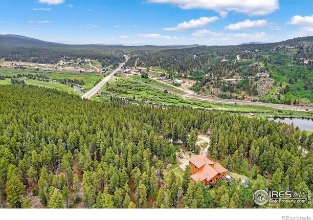 100 Moon Gulch Rd, Rollinsville, CO 80474 - photo 35
