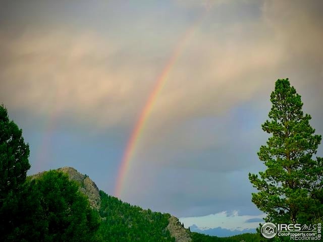 100 Moon Gulch Rd, Rollinsville, CO 80474 - photo 37