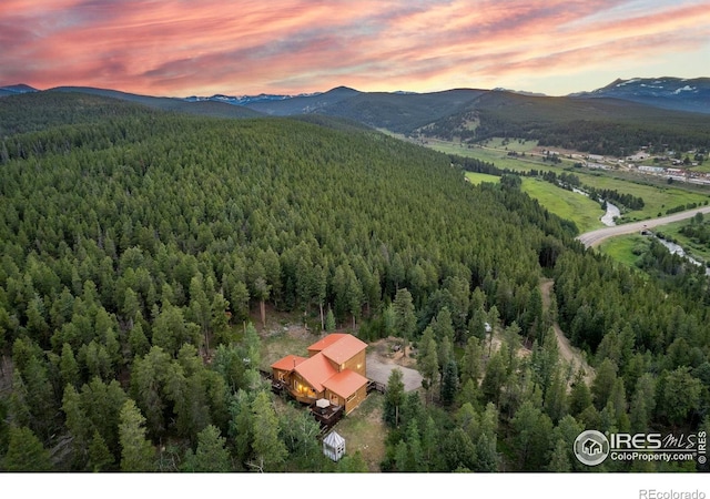 100 Moon Gulch Rd, Rollinsville, CO 80474 - photo 3