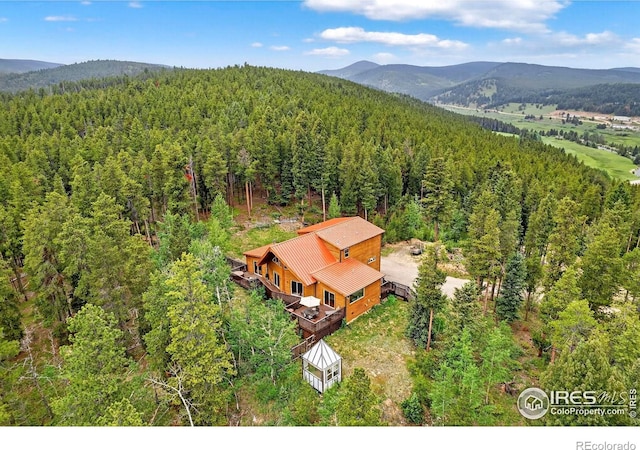 100 Moon Gulch Rd, Rollinsville, CO 80474 - photo 6