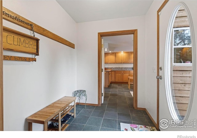 100 Moon Gulch Rd, Rollinsville, CO 80474 - photo 7