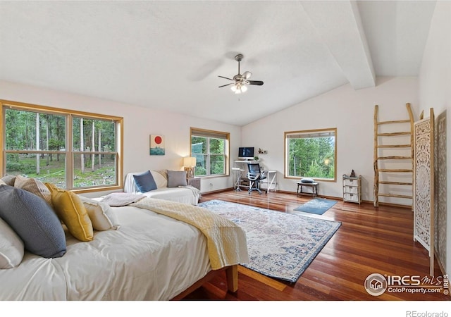 100 Moon Gulch Rd, Rollinsville, CO 80474 - photo 22