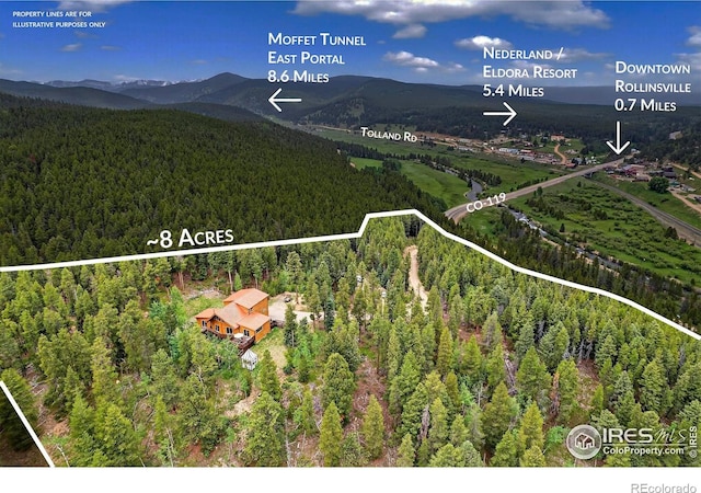 100 Moon Gulch Rd, Rollinsville, CO 80474 - photo 29