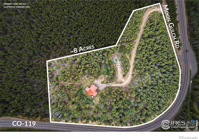 100 Moon Gulch Rd, Rollinsville, CO 80474 - photo 31