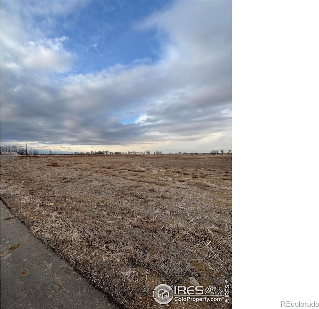 15124 Mattana Dr, Mead, CO 80542 - photo 3