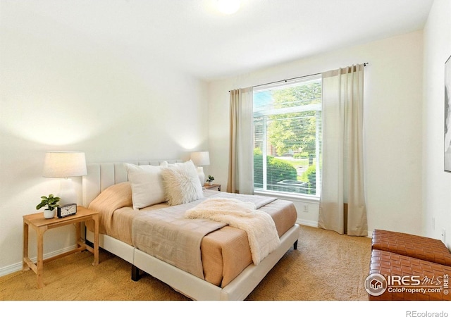 2450 Windrow Dr Unit E106, Fort Collins, CO 80525 - bedroom with light colored carpet and baseboards