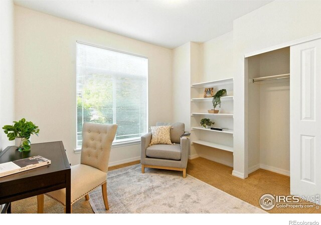 2450 Windrow Dr Unit E106, Fort Collins, CO 80525 - carpeted office space with baseboards