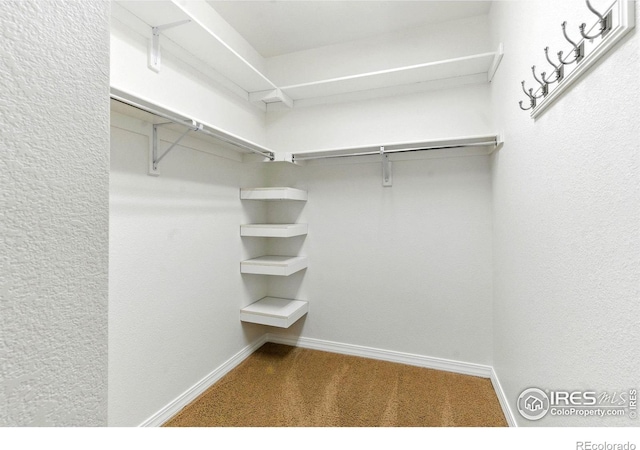 2450 Windrow Dr Unit E106, Fort Collins, CO 80525 - spacious closet with carpet flooring