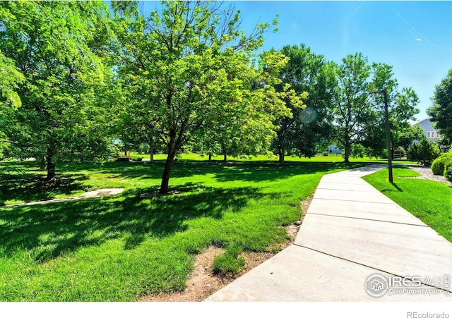 2450 Windrow Dr Unit E106, Fort Collins, CO 80525 - view of home's community with a lawn