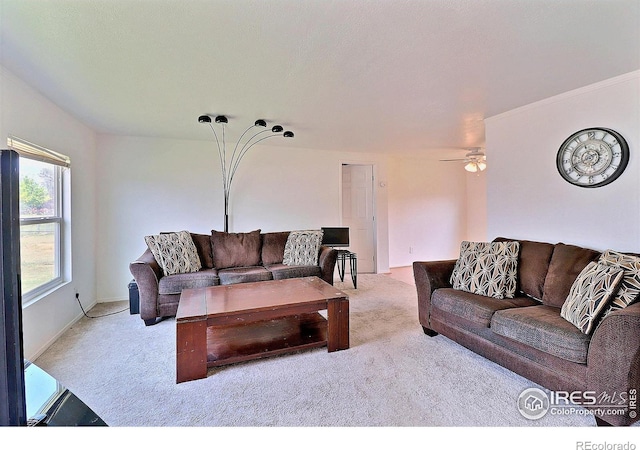 316 S 3rd Ave, Ault, CO 80610 - photo 5