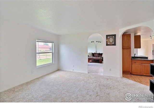 316 S 3rd Ave, Ault, CO 80610 - photo 16