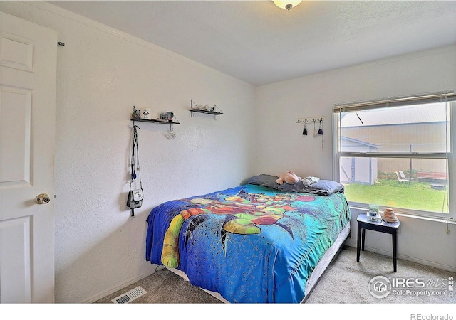 316 S 3rd Ave, Ault, CO 80610 - photo 24