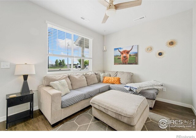 229 Molinar St, Johnstown, CO 80534 - photo 6