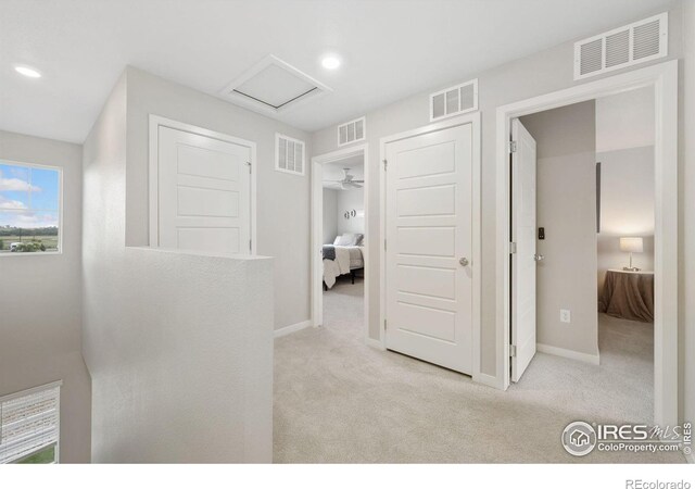 229 Molinar St, Johnstown, CO 80534 - photo 20