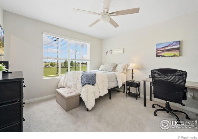 229 Molinar St, Johnstown, CO 80534 - photo 28