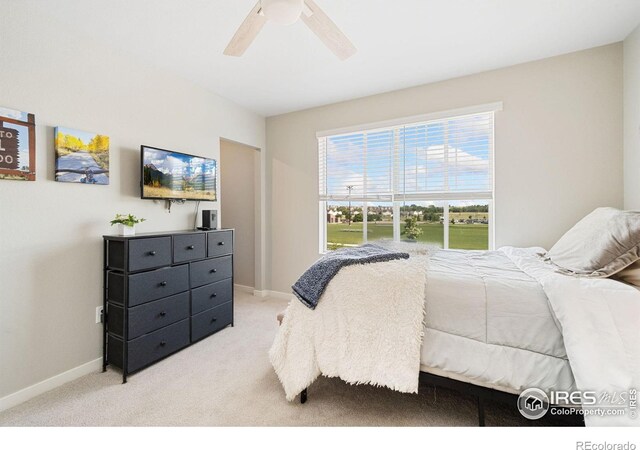 229 Molinar St, Johnstown, CO 80534 - photo 31