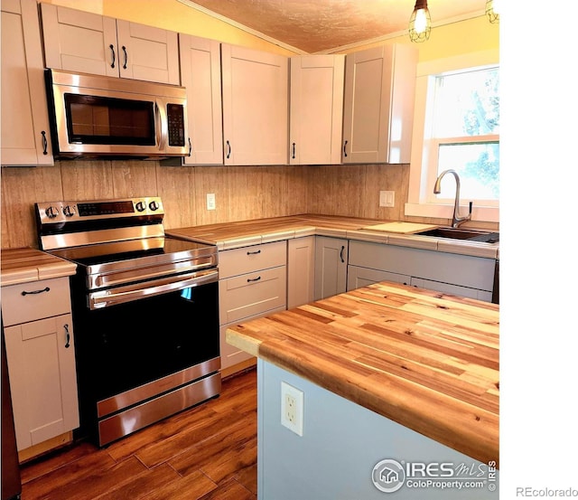 18082 County Road 25, Brush, CO 80723 - kitchen with appliances with stainless steel finishes, butcher block countertops, dark wood-style floors, and tasteful backsplash