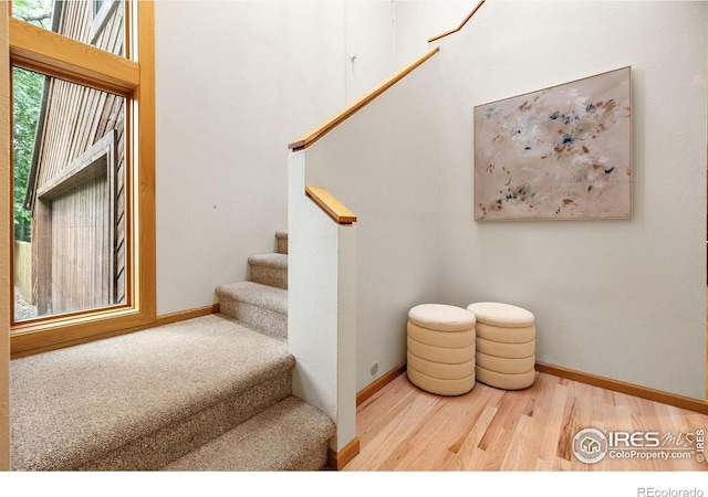 701 Kalmia Ave, Boulder, CO 80304 - photo 30