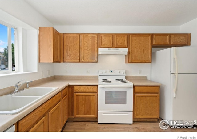 6827 Autumn Ridge Dr Unit 1, Fort Collins, CO 80525 - photo 3