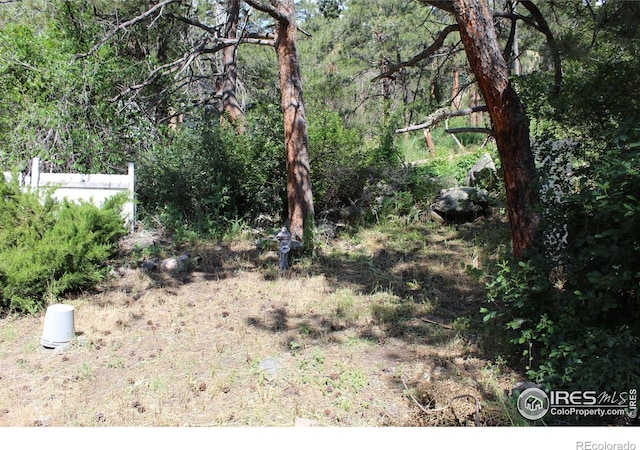 1591 W US Highway 34, Loveland, CO 80537 - photo 25