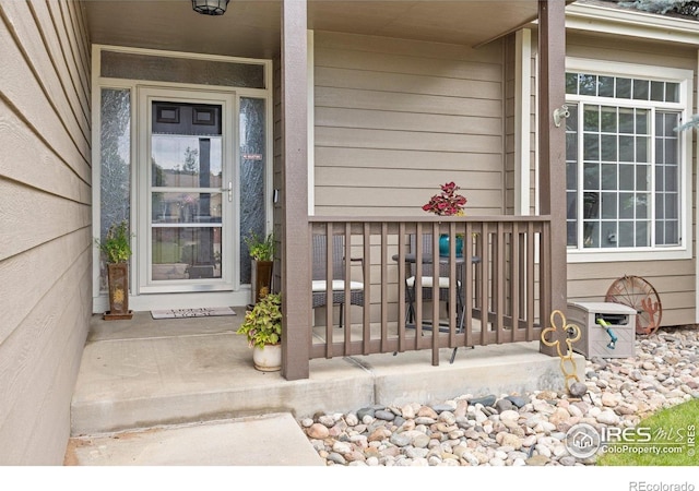1111 Valley Pl, Windsor, CO 80550 - photo 3