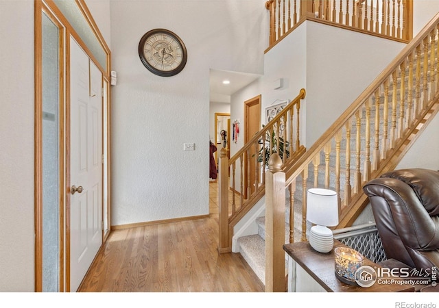 1111 Valley Pl, Windsor, CO 80550 - photo 7