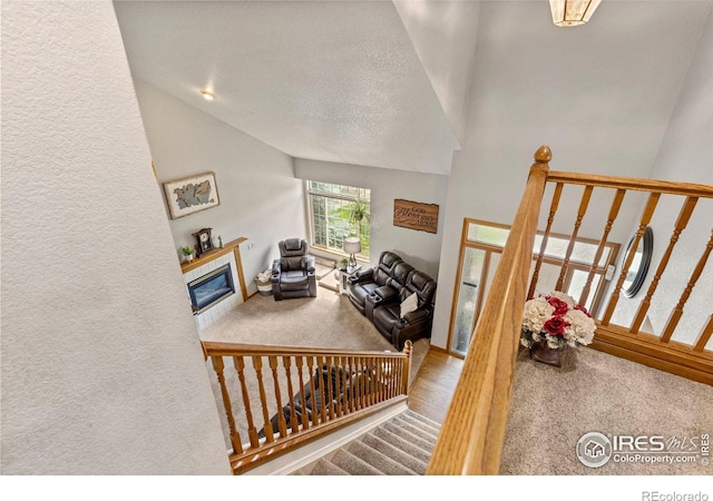 1111 Valley Pl, Windsor, CO 80550 - photo 21