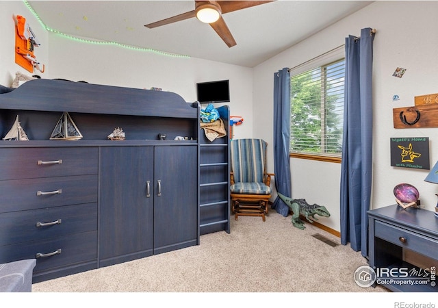 1111 Valley Pl, Windsor, CO 80550 - photo 23