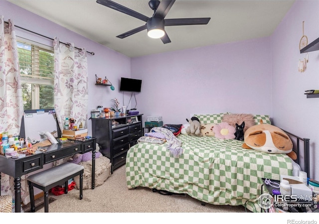 1111 Valley Pl, Windsor, CO 80550 - photo 24